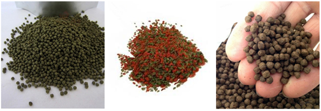 1665367672419814.jpg 1469159607.jpg