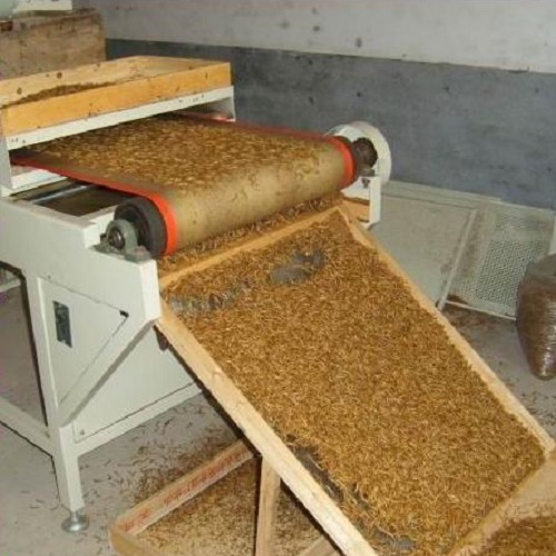 black soldier fly equipment.jpg black soldier fly equipment.jpg