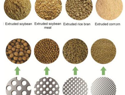 extrusor de alimentación para peces