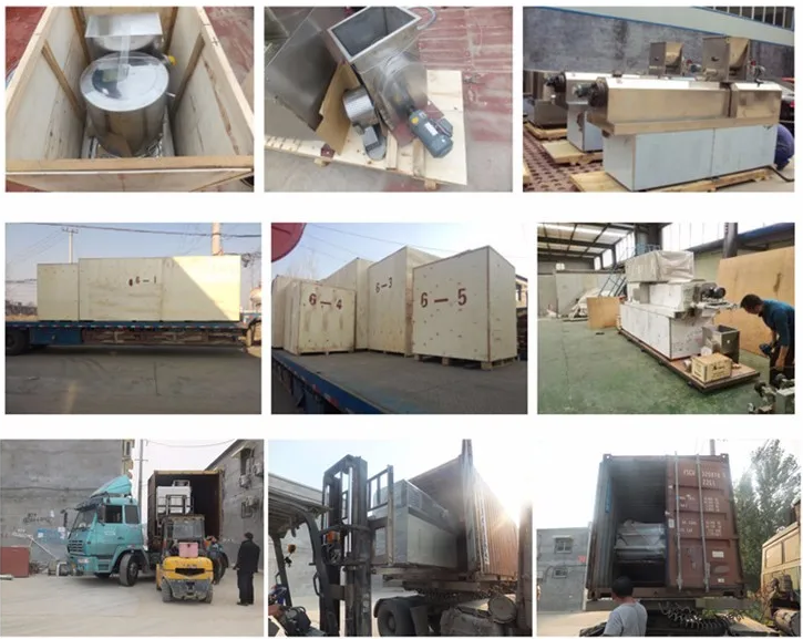 1700644497367318.png imagen.png