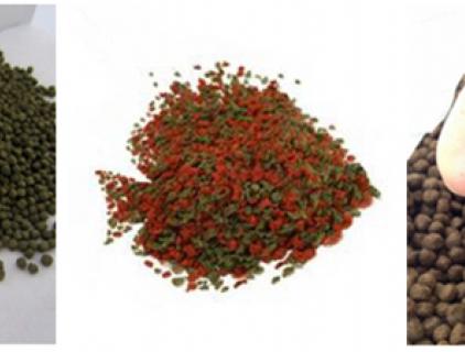 1 Millimeter Expanded Aquatic Feed
