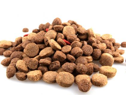 comida para perros